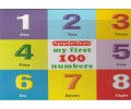 My First  100 Numbers
